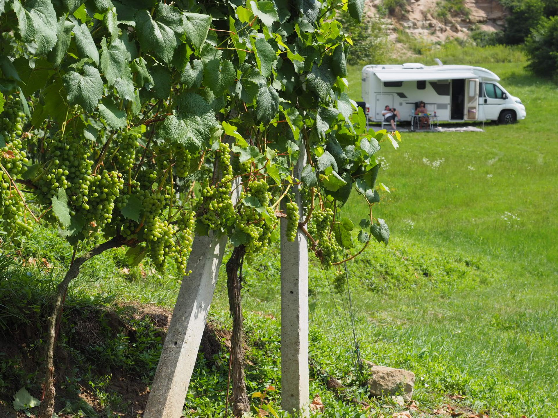 44 Polish vineyards friendly to motorhomes – main image