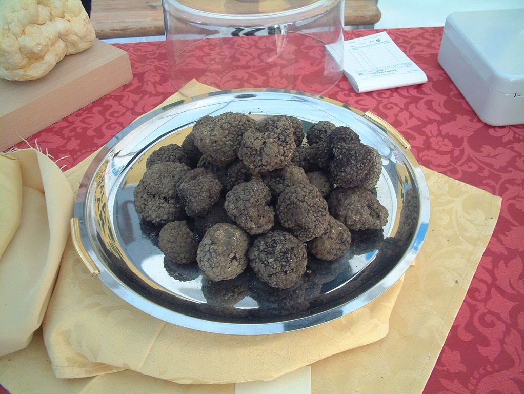 Truflowy smak Istrii – główne zdjęcie