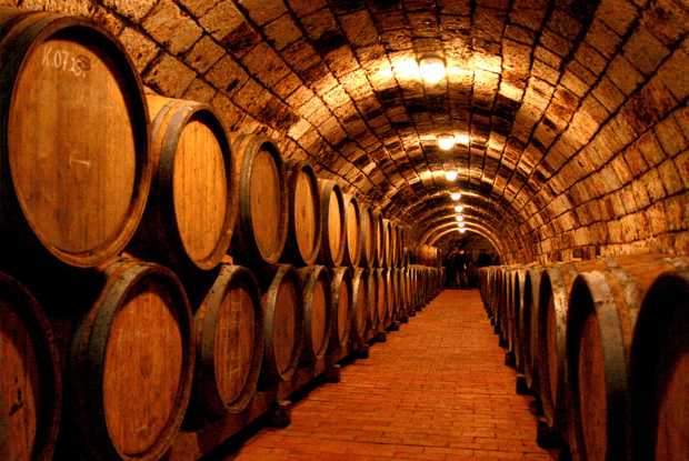 The wine of kings and the king of wines - Tokaj – image 1