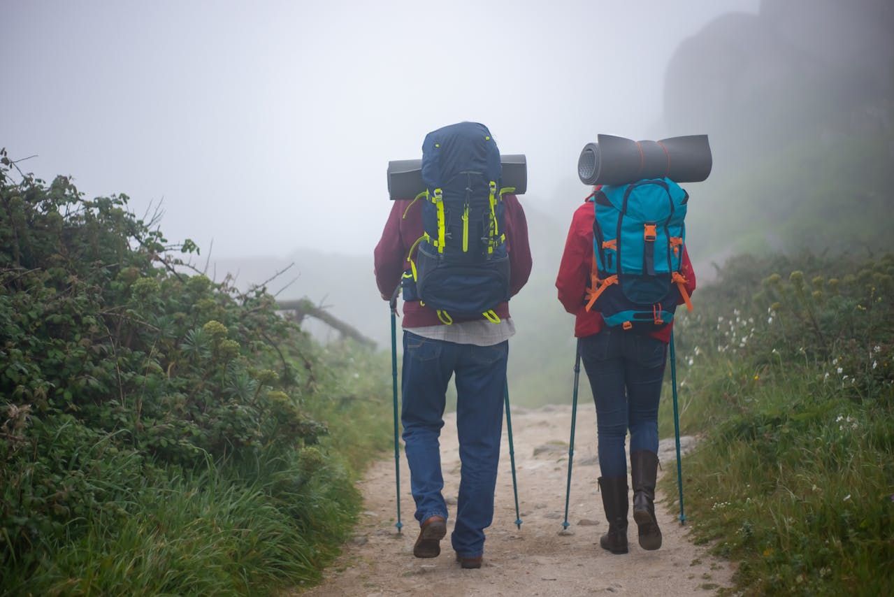 Kije trekkingowe czy kije nordic walking – który wybór jest lepszy dla Twojej aktywności? – główne zdjęcie
