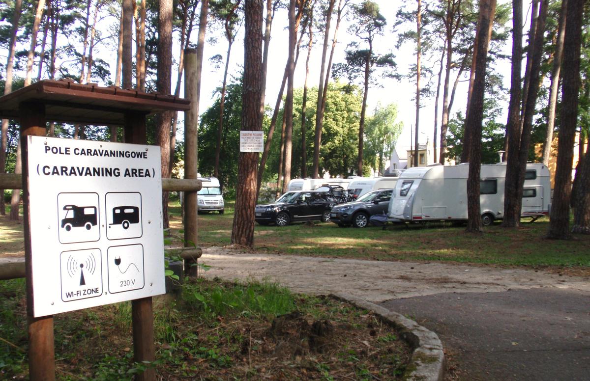 Camp LIPNO! - Stęszew  – zdjęcie 2