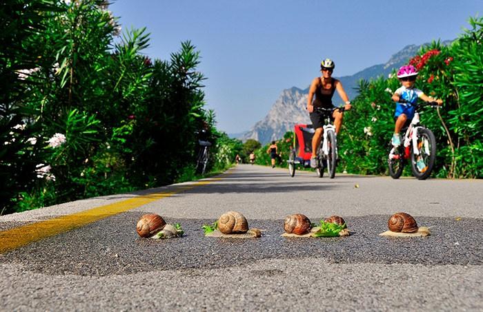 7 najlepszych tras rowerowych w Garda Trentino dla całej rodziny – zdjęcie 2