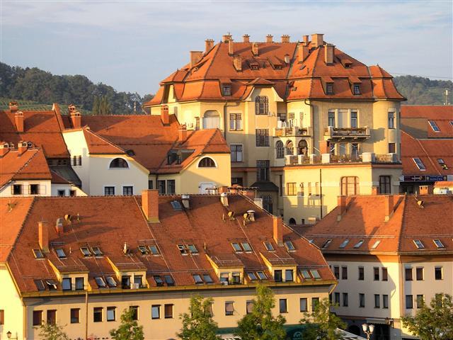 For a glass of wine to Maribor – image 3