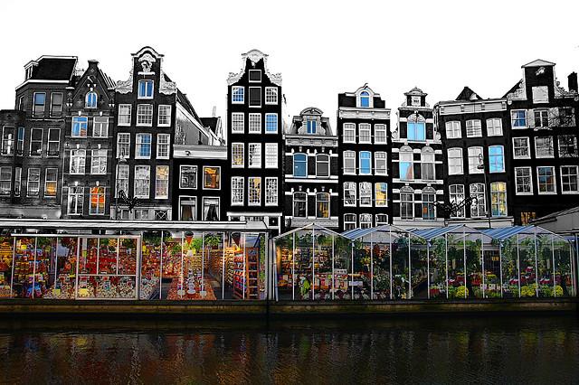 Amsterdam - the city of freedom – image 2