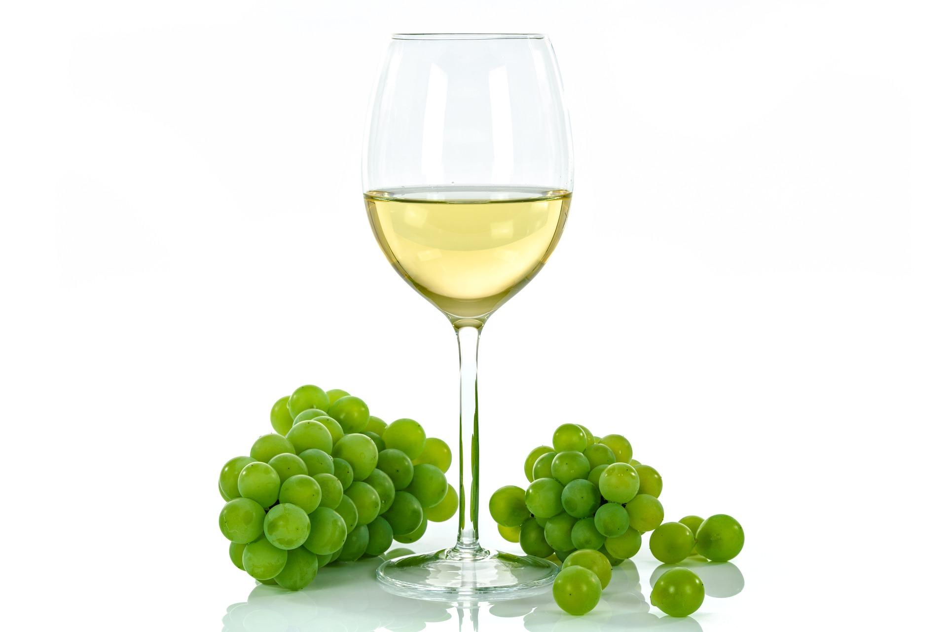 Tradycje winiarskie i smaki Abruzji – zdjęcie 3